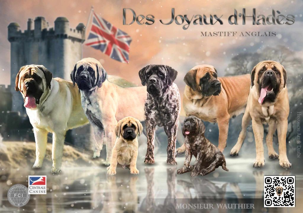 des Joyaux d'Hades - CHIOTS DISPONIBLES DE UMA ET OLIVER