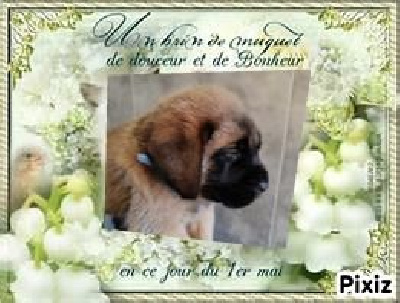 ATLAS DIT BAROUF